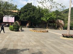 -海南槟榔谷黎苗文化旅游区