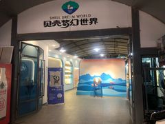 -贝壳梦幻世界