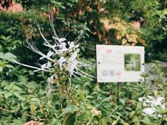 -广州神农草堂中医药博物馆