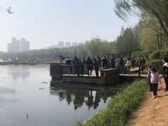 -前关湿地公园