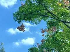 -上海山野camping·户外天幕烧烤·团建拓展营地