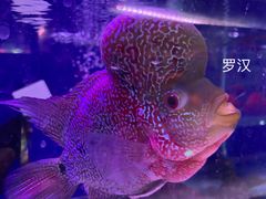 -益财水族馆