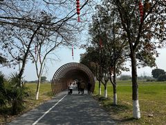 -良渚古城遗址公园