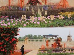 -东莞植物园