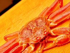 -鳥喜Toriki怀石烧鸟料理