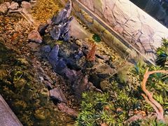 -首秀·四川料理(星耀101店)