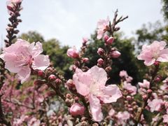 -圩墩遗址公园