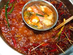 -青年火锅(吾悦广场直营店)