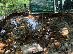 -西霞口神雕山野生动物世界