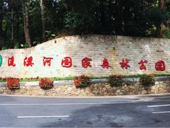 -广州市流溪河国家森林公园