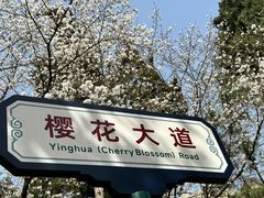 -武汉大学-樱园