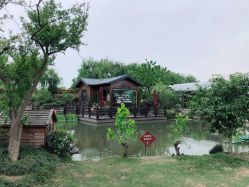 -太湖雪蚕桑文化园