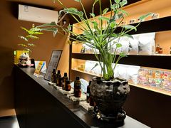 -泰·菩提树下[泰式按摩x精油SPAx肩颈头疗](新景店)