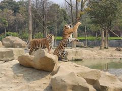 -常州淹城野生动物世界