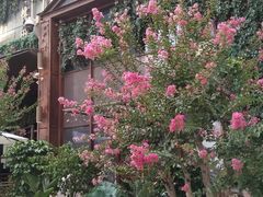 -胡桃里音乐酒馆(曲江店)