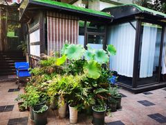 -先机泉水鸡汤(南山老君洞店)