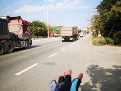 -广州市流溪河国家森林公园