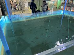 -上海大自然野生昆虫馆(东方明珠·爬宠昆虫探索中心)