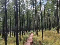 -塞罕坝国家级自然保护区