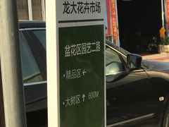 -龙大花卉苗木市场