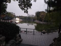 -莲湖公园