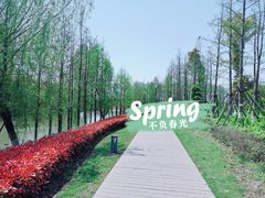 -九科绿洲