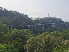-金鸡山公园