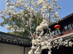 -上海醉白池公园
