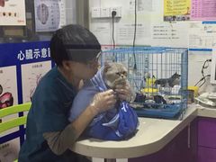 -咕噜咕噜宠物医院·CT·肿瘤科·骨科(前海院)
