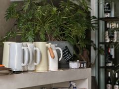 -长春藤咖啡(北园店)