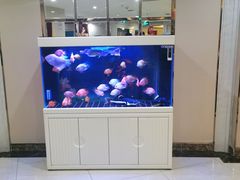 -华夏良子(京密路店)