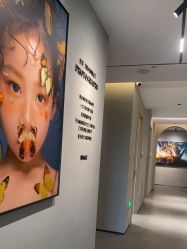 -大树儿童摄影
