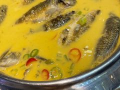 泡菜稻香魚-荣粤酒家·融合粤菜