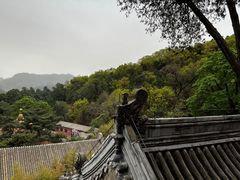 -潭柘寺景区