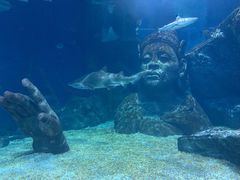 -暹罗海洋世界