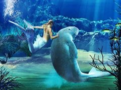 -悉尼海洋生物水族馆