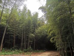 -莫奈庄园·儿童摄影馆·影视基地(江宁店)