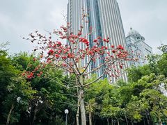 -白鹭洲公园
