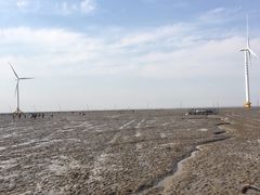 -小洋口旅游度假区