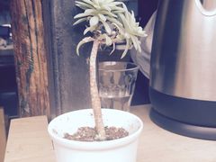 -VOYAGE COFFEE(北锣鼓巷店)