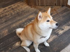 -三目仓咖啡(贤南路店)