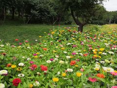 -长春公园(普阳街道)