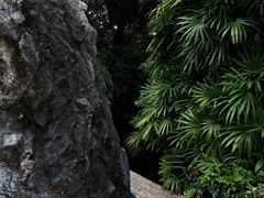 -广州兰圃