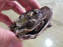 -蚝家菜馆(沙井店)