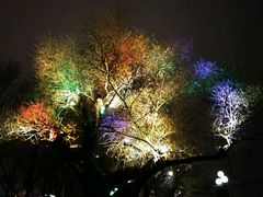 android_upload_pic-斯大林公园