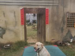 -青瓦房古村落