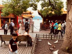 -西湖外事游船(湖滨二公园外事游船码头)