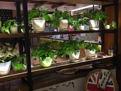 大堂-品大三·南京菜(大行宫店)