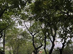 -东山湖公园