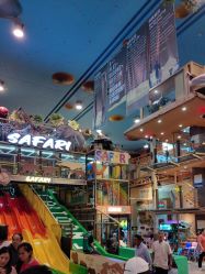 -卡通尼·Safari非洲探索乐园·生日会(金桥国际商业广场店)